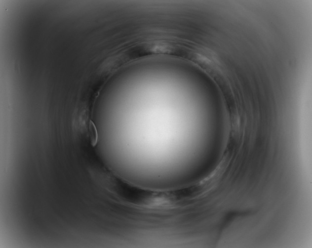 X0000089450175200706151438