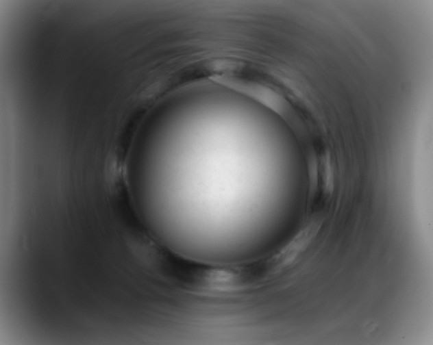 X0000089450176200706151438