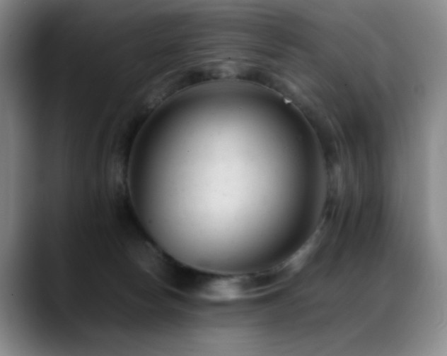 X0000089450178200706151438