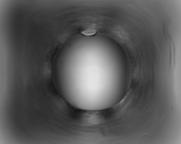 X0000089450179200706151438