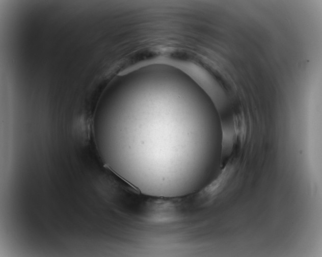 X0000089450180200706151438