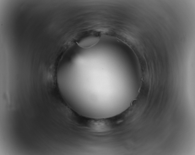 X0000089450181200706151438