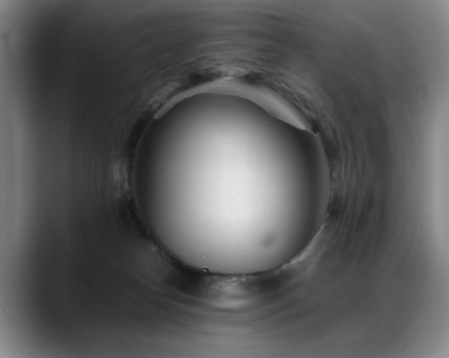 X0000089450182200706151438