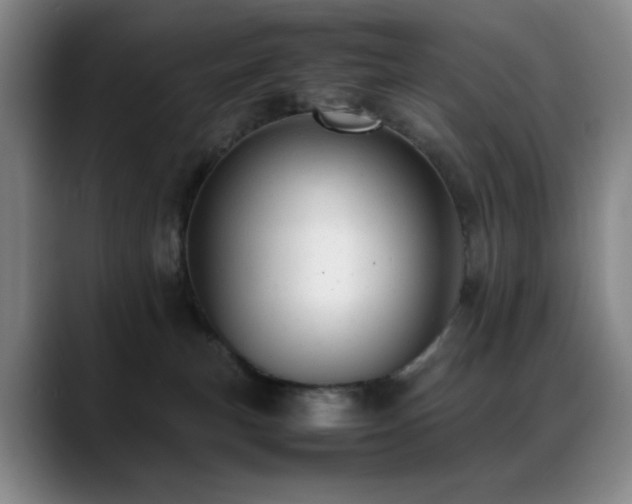 X0000089450183200706151438