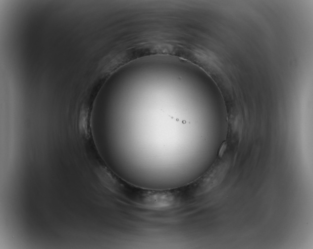 X0000089450185200706151438
