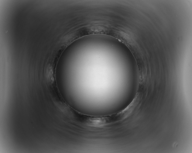 X0000089450187200706151438