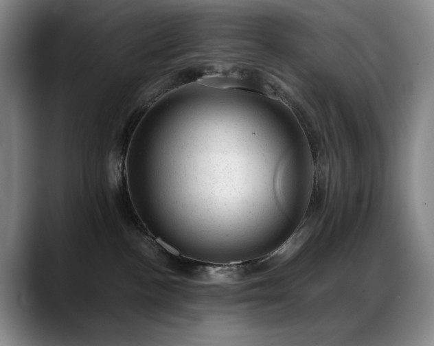 X0000089450188200706151438