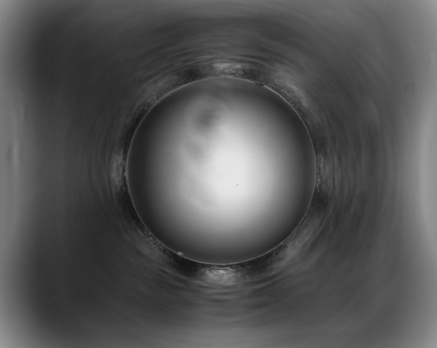 X0000089450189200706151438