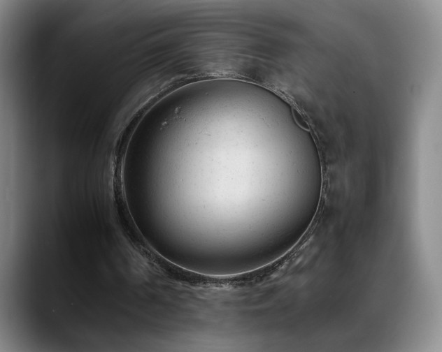 X0000089450194200706151438