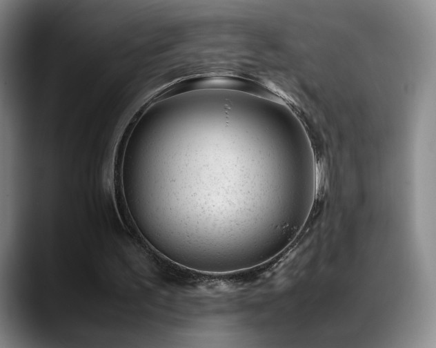 X0000089450195200706151438