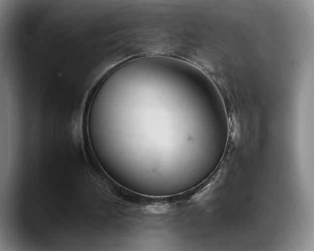 X0000089450196200706151438