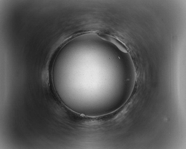 X0000089450198200706151438
