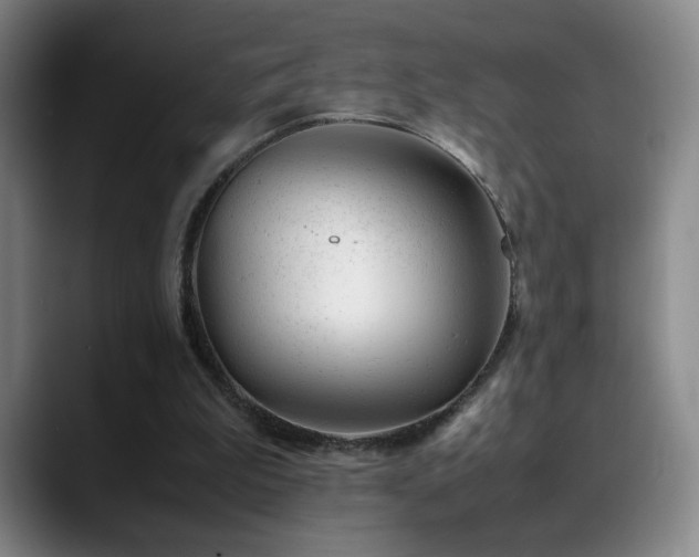 X0000089450199200706151438