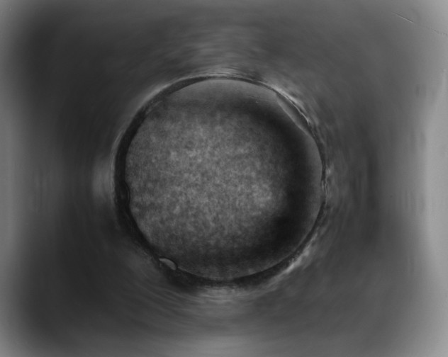 X0000089450200200706151438