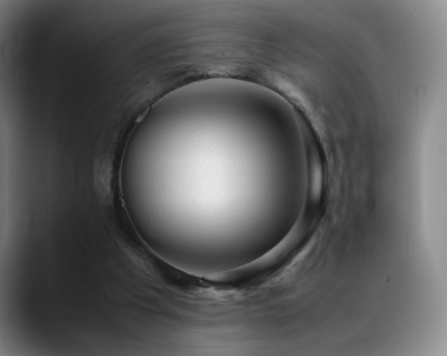 X0000089450201200706151438