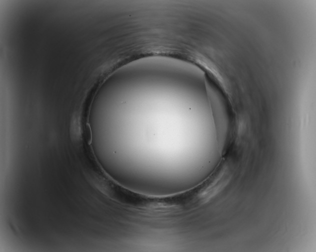 X0000089450203200706151437