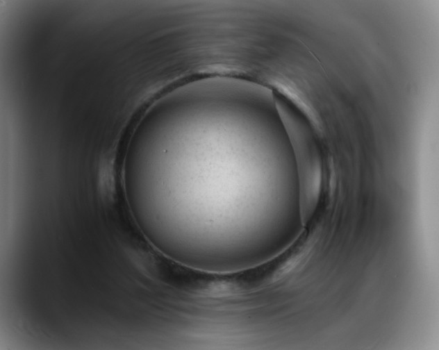 X0000089450204200706151437