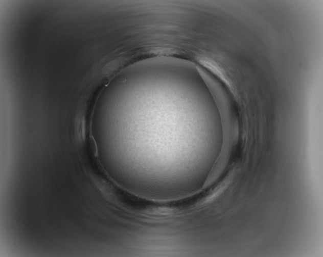 X0000089450205200706151437