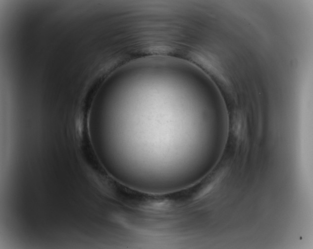 X0000089450206200706151437