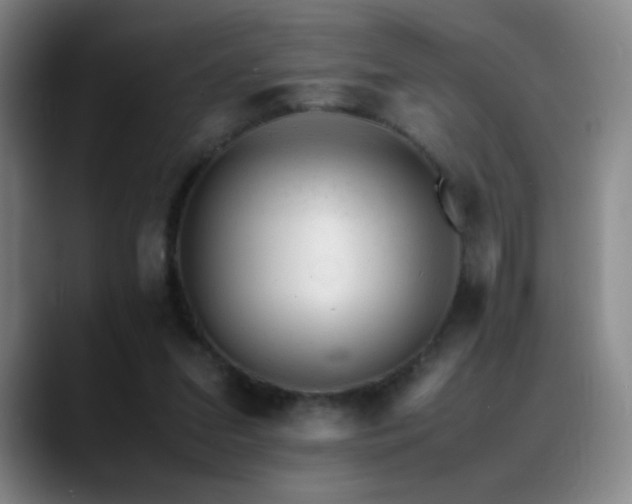 X0000089450207200706151437