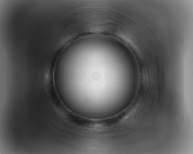 X0000089450208200706151437