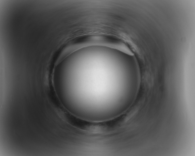 X0000089450209200706151437
