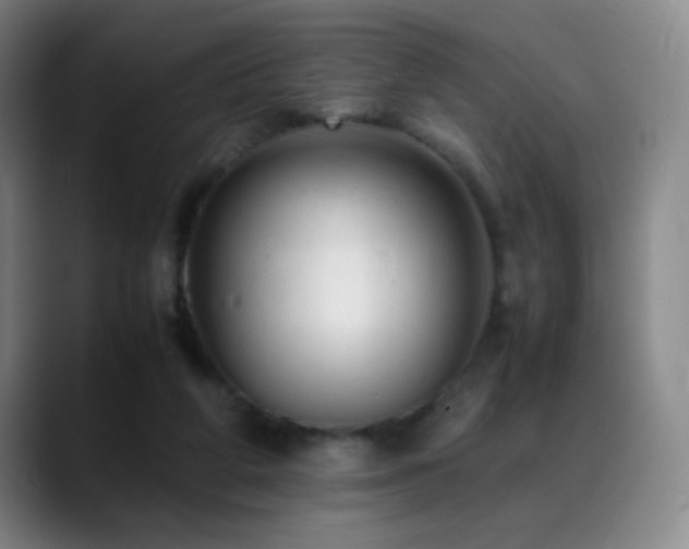 X0000089450210200706151437