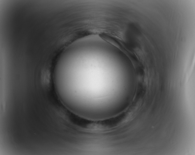 X0000089450211200706151437