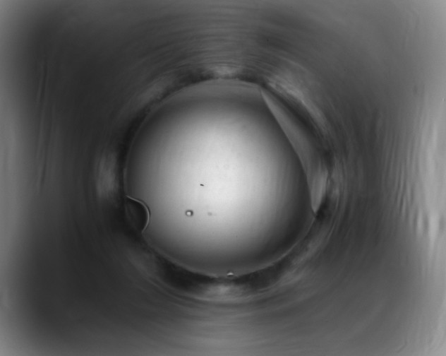X0000089450212200706151437