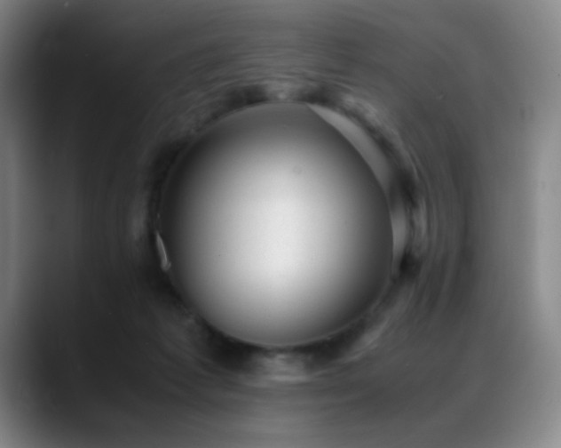 X0000089450221200706151437