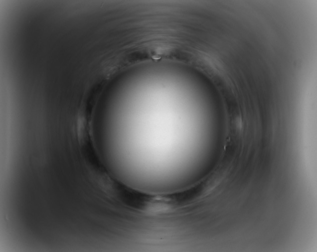 X0000089450222200706151437