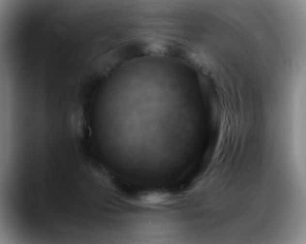 X0000089450223200706151437