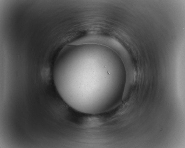 X0000089450224200706151437