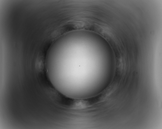 X0000089450226200706151437