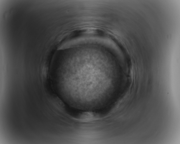 X0000089450227200706151437