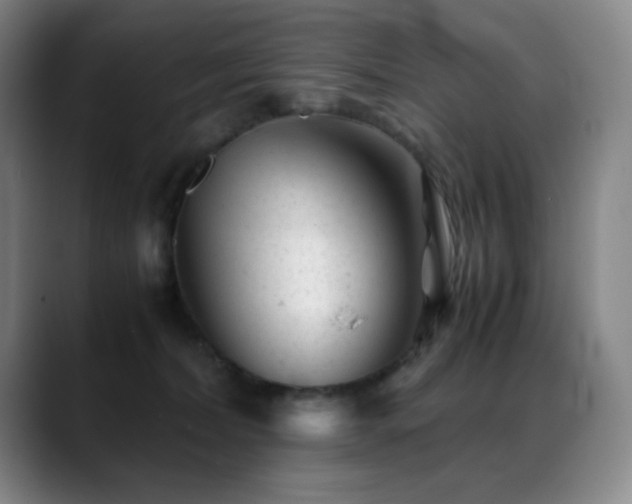 X0000089450228200706151437