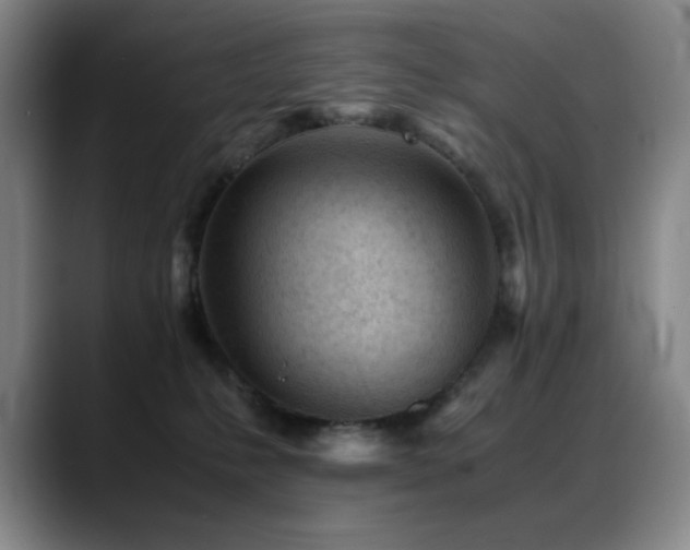 X0000089450231200706151437