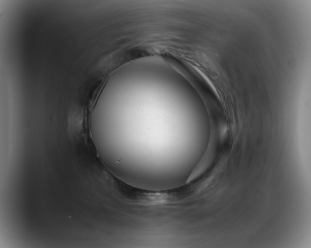 X0000089450233200706151437
