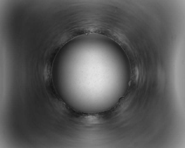 X0000089450236200706151437