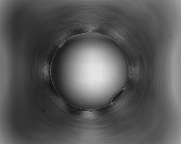 X0000089450238200706151437