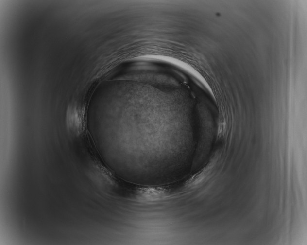 X0000089450239200706151437