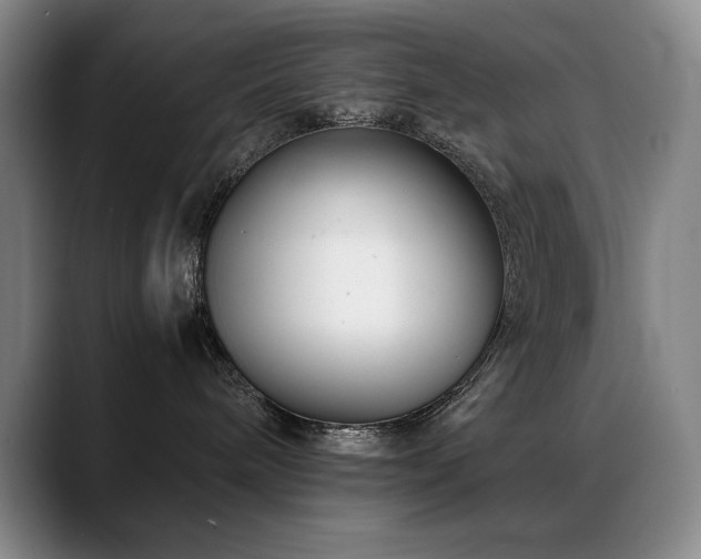 X0000089450240200706151437