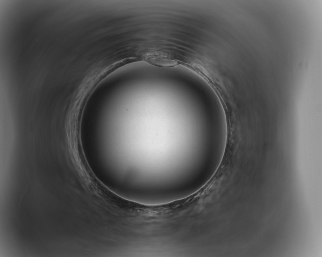 X0000089450241200706151436
