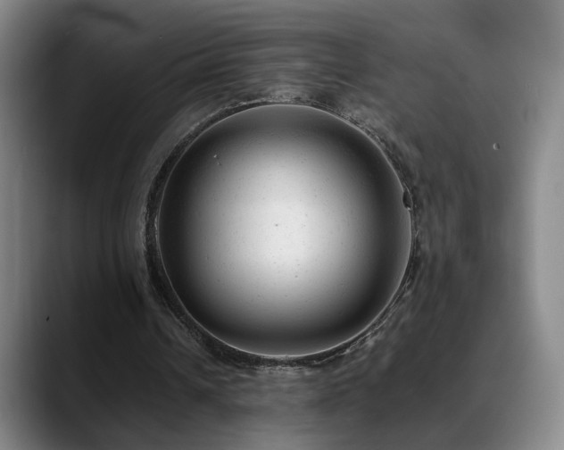 X0000089450242200706151436