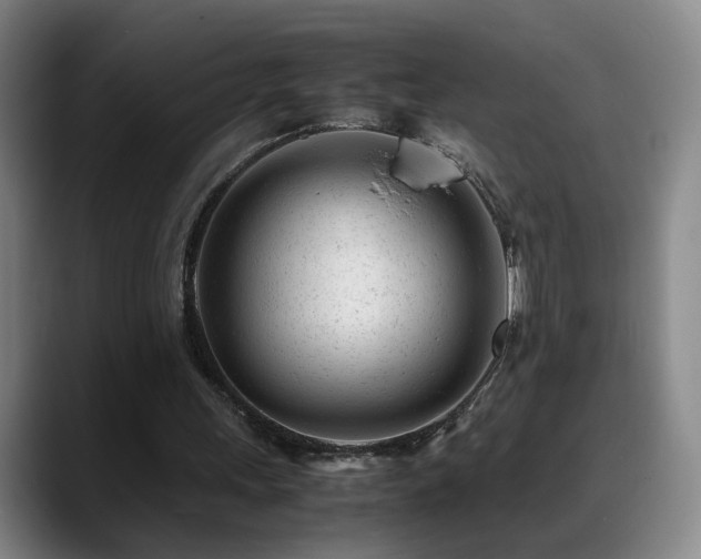 X0000089450243200706151437