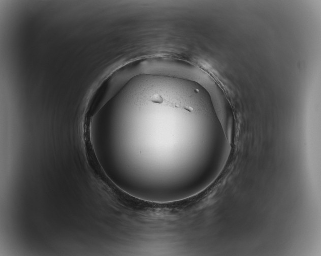 X0000089450244200706151437