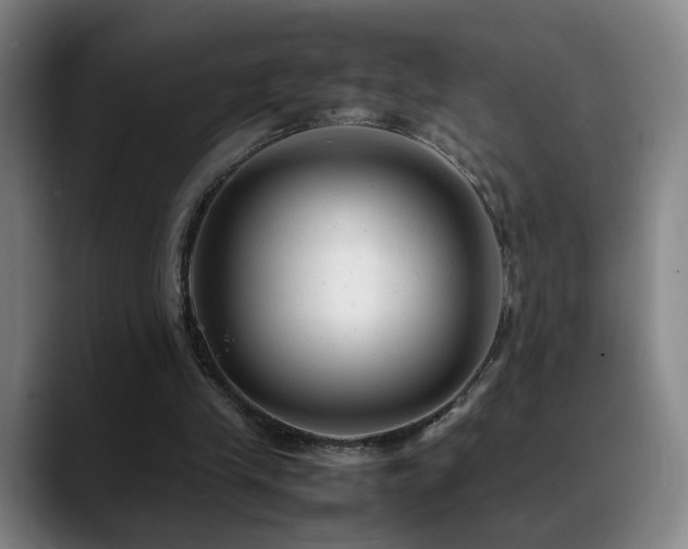 X0000089450245200706151437
