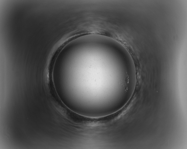 X0000089450246200706151437