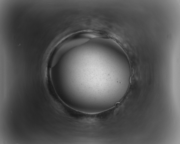 X0000089450247200706151437