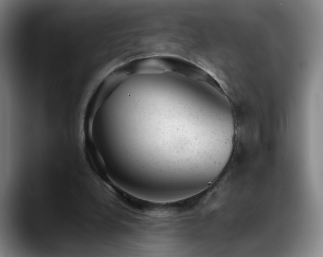 X0000089450248200706151437